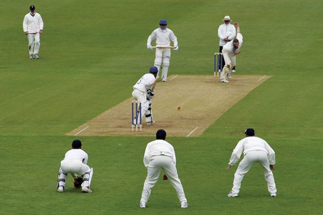 Cricket field opens for play in Bradford, Ont. a year after idea was ...